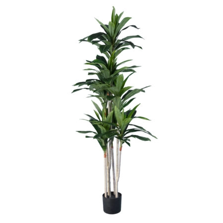 DRACAENA SILK 20044 - Τεχνητό Διακοσμητικό Φυτό Δράκαινα Υ170cm - Τεχνητες Δρακαινες και Γιουκα