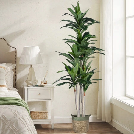 DRACAENA SILK 20044 - Τεχνητό Διακοσμητικό Φυτό Δράκαινα Υ170cm - Τεχνητες Δρακαινες και Γιουκα Sticky 4