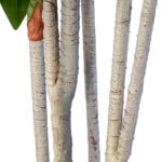 DRACAENA SILK 20044 - Τεχνητό Διακοσμητικό Φυτό Δράκαινα Υ170cm