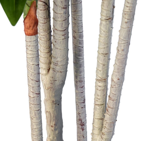 DRACAENA SILK 20044 - Τεχνητό Διακοσμητικό Φυτό Δράκαινα Υ170cm - Τεχνητες Δρακαινες και Γιουκα Sticky 2