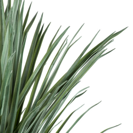BEAUCARNEA PALM TREE 20046 Τεχνητό Διακοσμητικό Φυτό Κυρτόφυλλος Μπουκαρνέα Υ165cm - Τεχνητοι Φοινικες Sticky 1