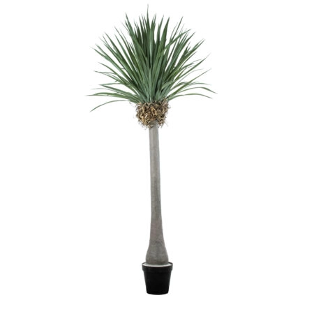 BEAUCARNEA PALM TREE 20048 Τεχνητό Διακοσμητικό Φυτό Κυρτόφυλλος Μπουκαρνέα Υ250cm - Τεχνητοι Φοινικες