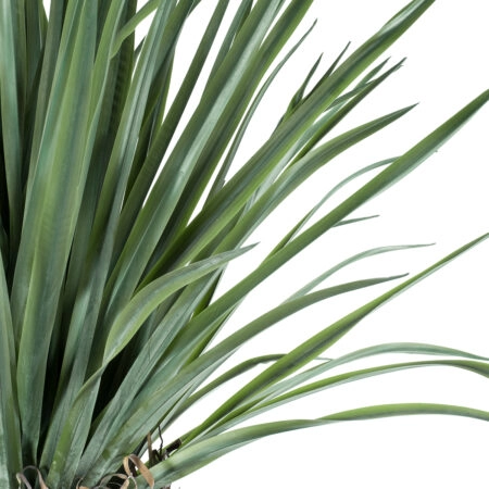 BEAUCARNEA PALM TREE 20048 Τεχνητό Διακοσμητικό Φυτό Κυρτόφυλλος Μπουκαρνέα Υ250cm - Τεχνητοι Φοινικες Sticky 1