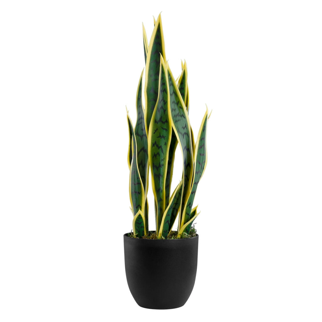 BLOODLEAF DRACAENA TRIFASCIATA 20060 Τεχνητό Διακοσμητικό Φυτό Αιματόφυλλη Σανσεβιέρια Υ70cm