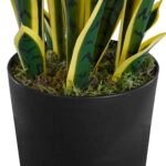 BLOODLEAF DRACAENA TRIFASCIATA 20060 Τεχνητό Διακοσμητικό Φυτό Αιματόφυλλη Σανσεβιέρια Υ70cm