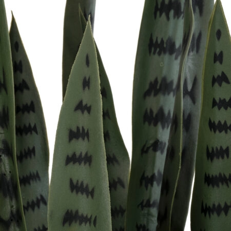 DRACAENA TRIFASCIATA 20063 Τεχνητό Διακοσμητικό Φυτό Σανσεβιέρια Υ90cm - Τεχνητοι Κακτοι Sticky 1