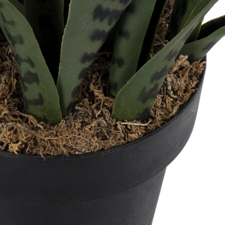 DRACAENA TRIFASCIATA 20063 Τεχνητό Διακοσμητικό Φυτό Σανσεβιέρια Υ90cm - Τεχνητοι Κακτοι Sticky 3