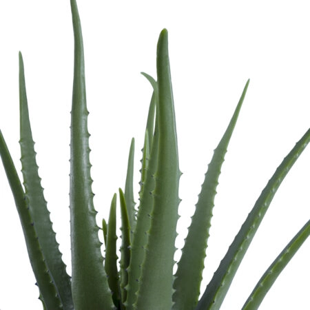 ALOE 20065 Τεχνητό Διακοσμητικό Φυτό Αλόη Υ50cm - Τεχνητοι Κακτοι Sticky 1