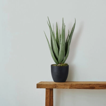 ALOE 20066 Τεχνητό Διακοσμητικό Φυτό Αλόη Υ65cm - Τεχνητοι Κακτοι Sticky 3