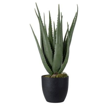 ALOE 20066 Τεχνητό Διακοσμητικό Φυτό Αλόη Υ65cm - Τεχνητοι Κακτοι