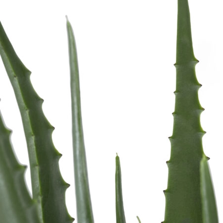 ALOE 20066 Τεχνητό Διακοσμητικό Φυτό Αλόη Υ65cm - Τεχνητοι Κακτοι Sticky 1