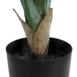 ROHDEA JAPONICA 20068 Τεχνητό Διακοσμητικό Φυτό Ιαπωνέζικη Ροδέα Υ80cm