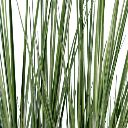 PAMPAS GRASS 20071 Τεχνητό Διακοσμητικό Φυτό Γρασίδι της Πάμπας Υ150cm - Τεχνητά Γρασίδια και Χόρτα Sticky 1