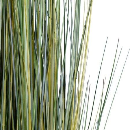 PAMPAS GRASS 20072 Τεχνητό Διακοσμητικό Φυτό Γρασίδι της Πάμπας Υ170cm - Τεχνητά Γρασίδια και Χόρτα Sticky 1