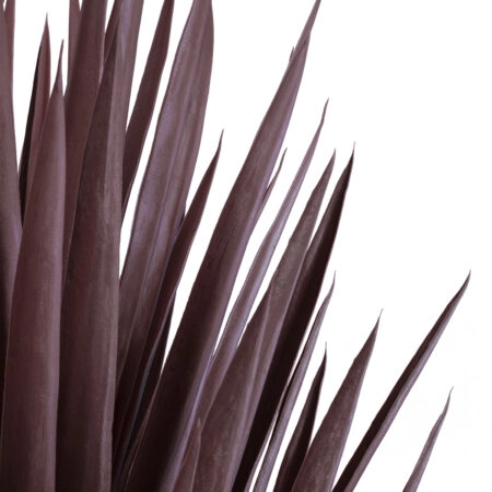 SISAL AGAVE 20075 Τεχνητό Διακοσμητικό Φυτό Αγαύη Υ70cm - Τεχνητοι Κακτοι Sticky 1