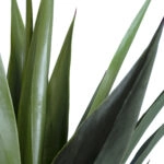 SISAL AGAVE 20078 Τεχνητό Διακοσμητικό Φυτό Αγαύη Υ110cm