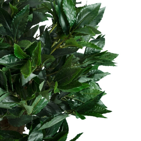 LAUREL 20084 Τεχνητό Διακοσμητικό Φυτό Δάφνη Υ120cm - Τεχνητα Κωνοφορα και διαμορφωμενα φυτα Sticky 1