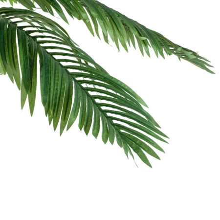 COCONUT PALM TREE 20088 Τεχνητό Διακοσμητικό Φυτό Φοινικόδεντρο Κοκοφοίνικας Υ250cm - Τεχνητοι Φοινικες Sticky 1