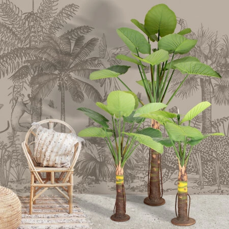 TARO SET 20089 Τεχνητό Διακοσμητικό Σετ Φυτών Κολοκασία A:Υ300cm B:Υ210cm C:Υ160cm - Τροπικα και Ιδιαιτερα Τεχνητα φυτα Sticky 1