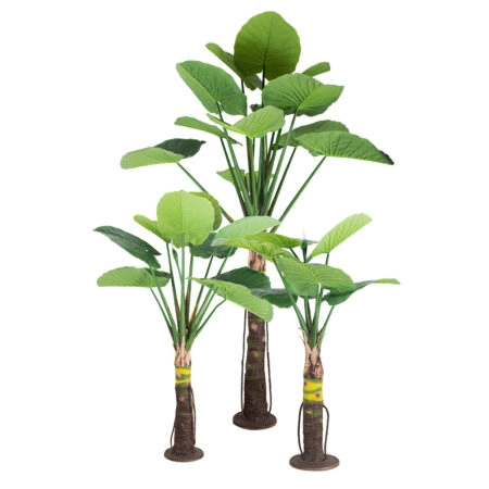 TARO SET 20089 Τεχνητό Διακοσμητικό Σετ Φυτών Κολοκασία A:Υ300cm B:Υ210cm C:Υ160cm - Τροπικα και Ιδιαιτερα Τεχνητα φυτα