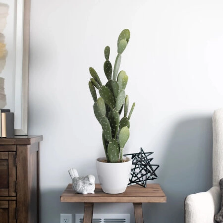 OPUNTIA FICUS-INDICA CACTUS 20097 Τεχνητό Διακοσμητικό Φυτό Κάκτος Φραγκοσυκιά Υ72cm - Τεχνητοι Κακτοι Sticky 4