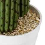 CARNEGIEA CACTUS 20100 Τεχνητό Διακοσμητικό Φυτό Κάκτος Σαγκουάρο Υ63cm