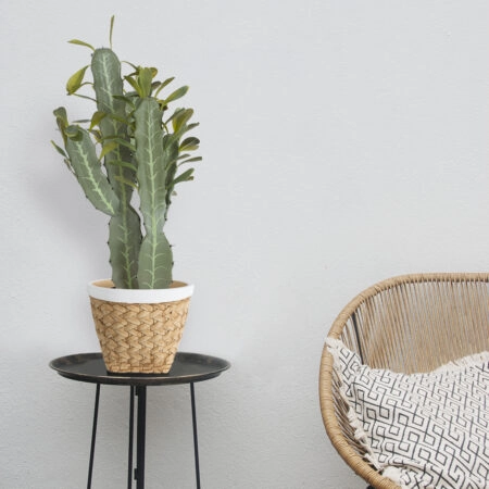 CEREUS JAMACARU CACTUS 20102 Τεχνητό Διακοσμητικό Φυτό Κάκτος Κηρίος Υ62cm - Τεχνητοι Κακτοι Sticky 4