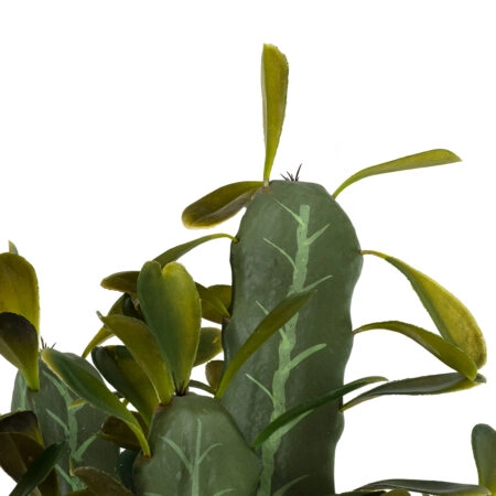 CEREUS JAMACARU CACTUS 20102 Τεχνητό Διακοσμητικό Φυτό Κάκτος Κηρίος Υ62cm - Τεχνητοι Κακτοι Sticky 1