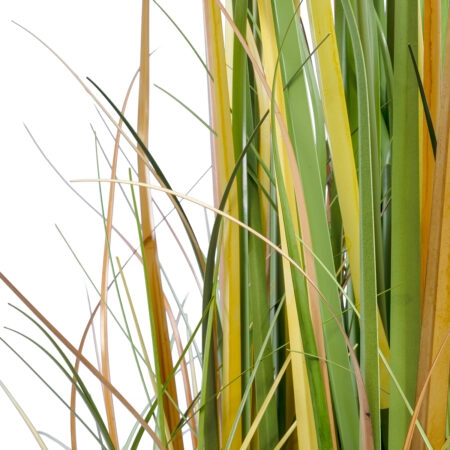 PAMPAS GRASS 20108 Τεχνητό Διακοσμητικό Φυτό Γρασίδι της Πάμπας Υ150cm - Τεχνητά Γρασίδια και Χόρτα Sticky 2