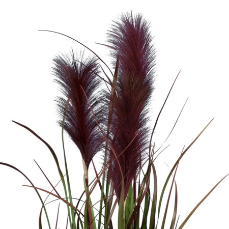 BLOODY PAMPAS GRASS 20109 Τεχνητό Διακοσμητικό Φυτό Αιματόφυλλο Γρασίδι της Πάμπας Υ85cm - Τεχνητά Γρασίδια και Χόρτα Sticky 1