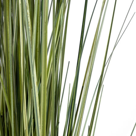 LAGURUS GRASS 20111 Τεχνητό Διακοσμητικό Φυτό Λαγοουρά Υ150cm - Τεχνητά Γρασίδια και Χόρτα Sticky 2