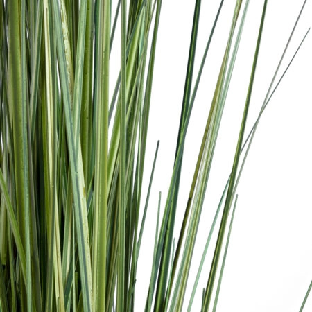 CRASPEDIA GRASS 20112 Τεχνητό Διακοσμητικό Φυτό Κρασπέδια Υ150cm - Τεχνητά Γρασίδια και Χόρτα Sticky 2
