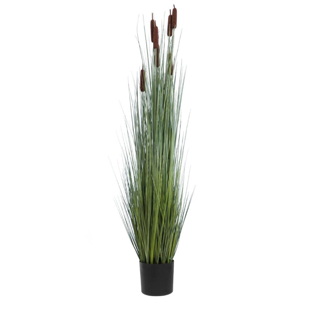TYPHA ANGUSTIFOLIA GRASS 20113 Τεχνητό Διακοσμητικό Φυτό Γρασίδι της Τύφας Υ150cm