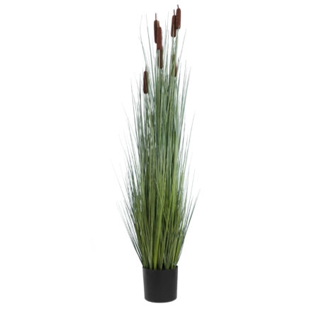TYPHA ANGUSTIFOLIA GRASS 20113 Τεχνητό Διακοσμητικό Φυτό Γρασίδι της Τύφας Υ150cm - Τεχνητά Γρασίδια και Χόρτα