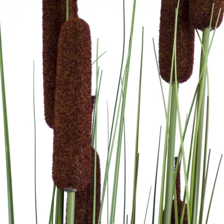 TYPHA ANGUSTIFOLIA GRASS 20113 Τεχνητό Διακοσμητικό Φυτό Γρασίδι της Τύφας Υ150cm - Τεχνητά Γρασίδια και Χόρτα Sticky 1