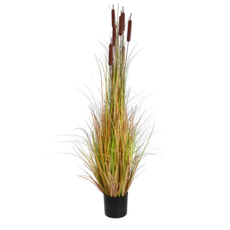 TYPHA ANGUSTIFOLIA GRASS 20114 Τεχνητό Διακοσμητικό Φυτό Γρασίδι της Τύφας Υ150cm