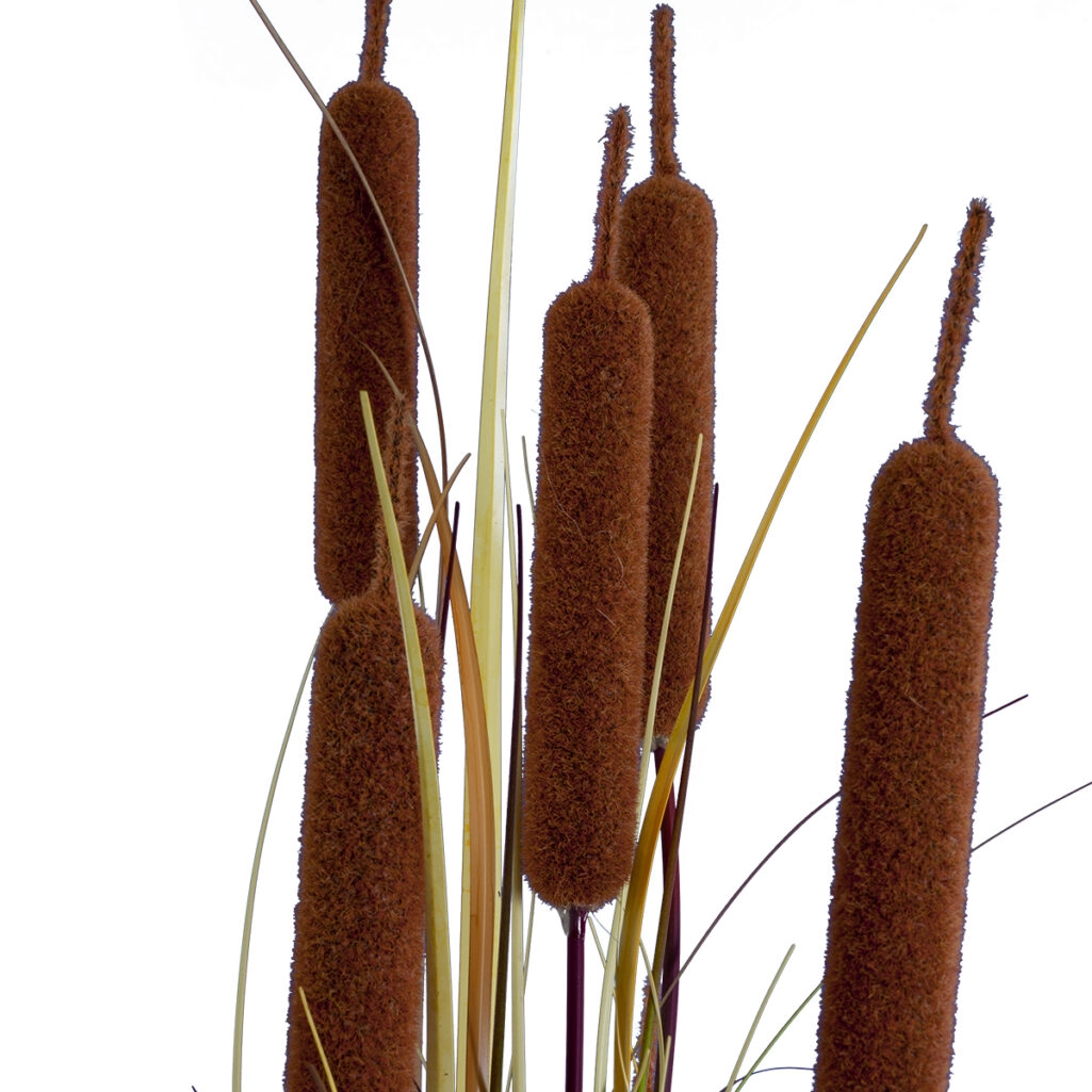 TYPHA ANGUSTIFOLIA GRASS 20114 Τεχνητό Διακοσμητικό Φυτό Γρασίδι της Τύφας Υ150cm