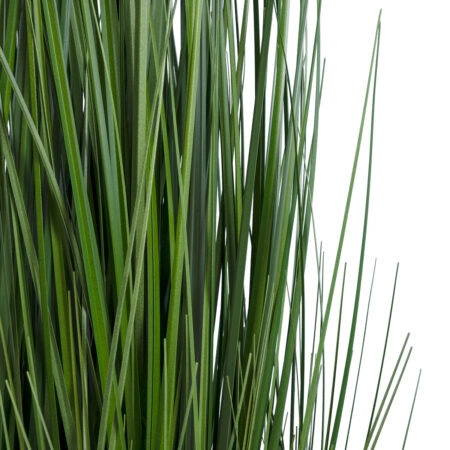MISCANTHUS SINENSIS 20116 Τεχνητό Διακοσμητικό Φυτό Μίσχανθος Υ120cm - Τεχνητά Γρασίδια και Χόρτα Sticky 1