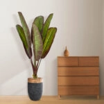 BLOODY BANANA TREE 20117 - Τεχνητό Διακοσμητικό Φυτό Αιματόφυλλη Μπανανιά - Μπανανόδεντρο Υ160cm