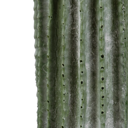 CARNEGIEA CACTUS 20124 Τεχνητό Διακοσμητικό Φυτό Κάκτος Σαγκουάρο Υ70cm - Τεχνητοι Κακτοι Sticky 1