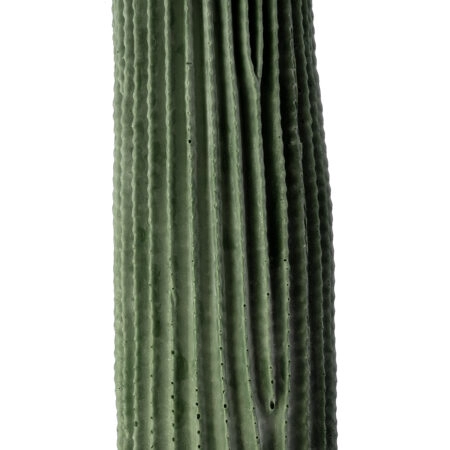 CARNEGIEA CACTUS 20125 Τεχνητό Διακοσμητικό Φυτό Κάκτος Σαγκουάρο Υ85cm - Τεχνητοι Κακτοι Sticky 1