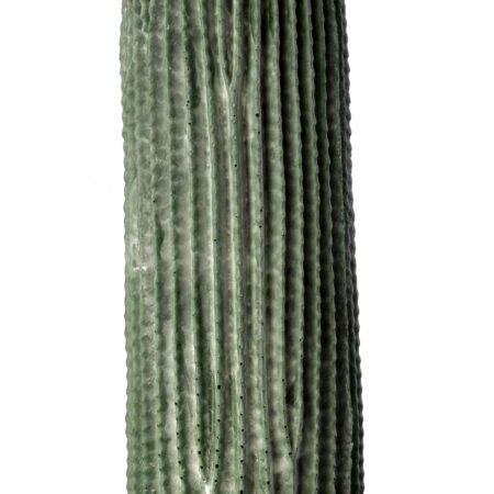 CARNEGIEA CACTUS 20126 Τεχνητό Διακοσμητικό Φυτό Κάκτος Σαγκουάρο Υ100cm - Τεχνητοι Κακτοι Sticky 1