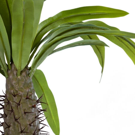 PACHYPODIUM LAMEREI PALM TREE 20129 Τεχνητό Διακοσμητικό Φυτό Φοίνικας της Μαγαδασκάρης Υ105cm - Τεχνητοι Φοινικες Sticky 1