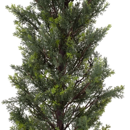 LEMON CYPRESS 20151 Τεχνητό Διακοσμητικό Φυτό Λεμονόκυπάρισσο Υ120cm - Τεχνητα Κωνοφορα και διαμορφωμενα φυτα Sticky 2