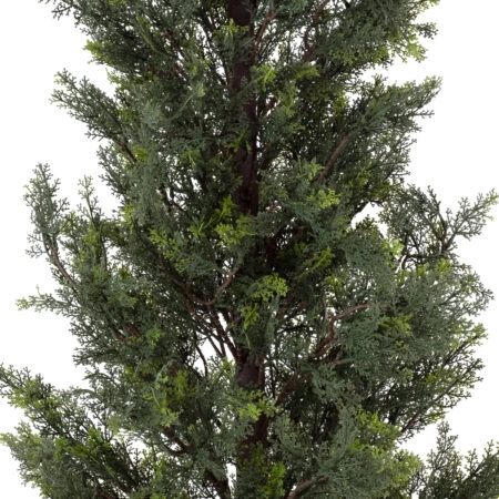 LEMON CYPRESS 20153 Τεχνητό Διακοσμητικό Φυτό Λεμονόκυπάρισσο Υ180cm - Τεχνητα Κωνοφορα και διαμορφωμενα φυτα Sticky 2