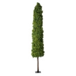 BUXUS 20158 Τεχνητό Διακοσμητικό Φυτό Πυξός Υ250cm