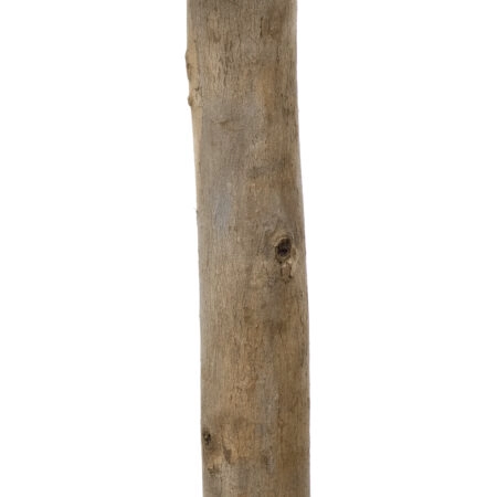 BUXUS 20158 Τεχνητό Διακοσμητικό Φυτό Πυξός Υ250cm - Τεχνητα Κωνοφορα και διαμορφωμενα φυτα Sticky 2