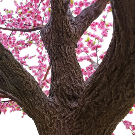 PEACH BLOSSOM TREE 20159 Τεχνητό Διακοσμητικό Δέντρο Ανθισμένη Ροδακινιά Υ340cm - Τεχνητα Ανθισμένα Δεντρα Sticky 2