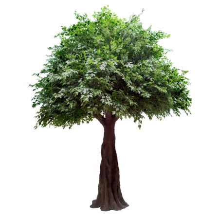 BANYAN FICUS TREE 20160 Τεχνητό Διακοσμητικό Δέντρο Ινδική Συκιά Φίκος Υ340cm - Τεχνητοι Φικοι