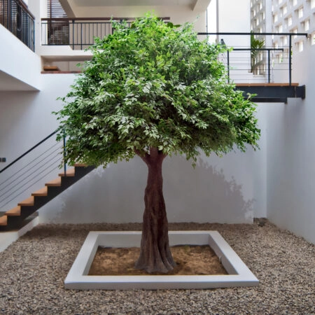 BANYAN FICUS TREE 20160 Τεχνητό Διακοσμητικό Δέντρο Ινδική Συκιά Φίκος Υ340cm - Τεχνητοι Φικοι Sticky 3